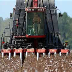 The Vital Role of Government in Supporting Farms in Southern Mississippi