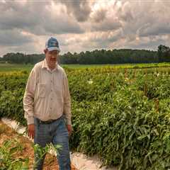 Exploring the World of Farms in Southern Mississippi