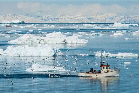 UNOC 2025 : Remember the Polar Oceans !