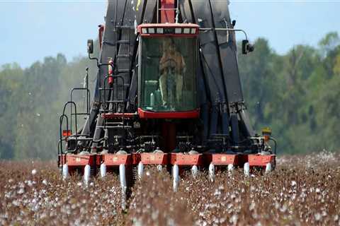 The Vital Role of Government in Supporting Farms in Southern Mississippi