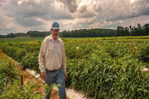 Exploring the World of Farms in Southern Mississippi