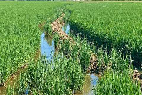 The Impact of Farms in Southern Mississippi on the Environment