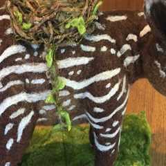 The Thrilling World of Fiber Arts Contests in Clackamas County, Oregon