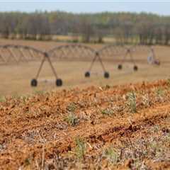 The Impact of Agriculture on the Environment in Fairfax County, Virginia: An Expert's Perspective