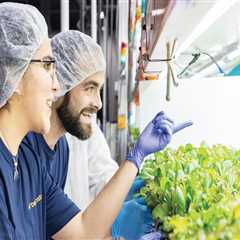 The Challenges and Opportunities of Urban Agriculture in Fairfax County, Virginia