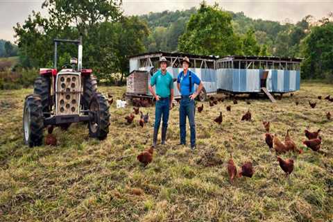 The Enduring Legacy of Agriculture in Fairfax County, Virginia