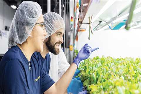 The Importance of Agriculture in Fairfax County, Virginia