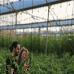 The Impact of Technology on Farming in Salt Lake County, Utah