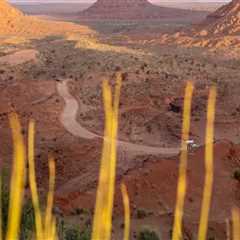 Capturing the Beauty of Pinal County, Arizona: A Guide to the Best Photographers for Outdoor Photo..