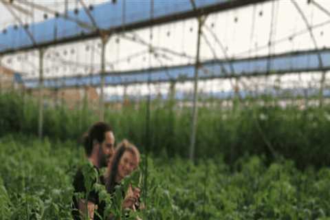 The Impact of Technology on Farming in Salt Lake County, Utah