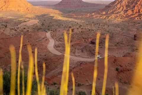Capturing the Beauty of Pinal County, Arizona: A Guide to the Best Photographers for Outdoor Photo..