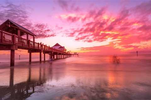Exploring the Vibrant Diversity of Southeast Florida Through Photography