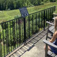 Exploring the Gardens of Wilder, Kentucky: Insider Tips and Regulations for Visitors