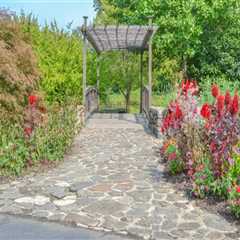 Discovering the Enchanting Gardens of Wilder, Kentucky