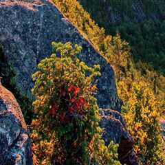 The Ultimate Guide to Visiting Antique Shops in Belknap County, New Hampshire: Best Times of Year
