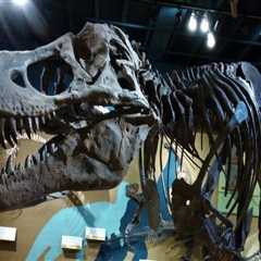 A Journey Through Time: The Rich History of Exhibits in Northeast Ohio