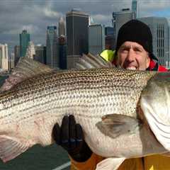 New City, New Waters: Charter Fishing After Relocating