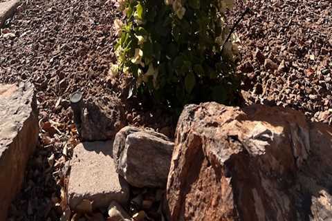 Creating a Sustainable Garden in Pinal County, Arizona: Expert Tips and Strategies