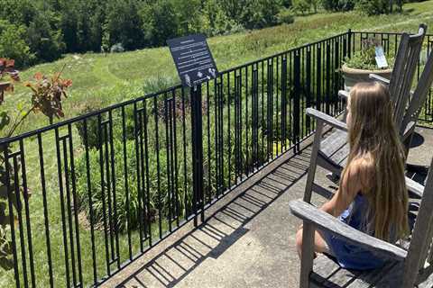 Exploring the Gardens of Wilder, Kentucky: Insider Tips and Regulations for Visitors