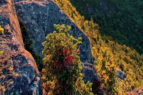 The Ultimate Guide to Visiting Antique Shops in Belknap County, New Hampshire: Best Times of Year