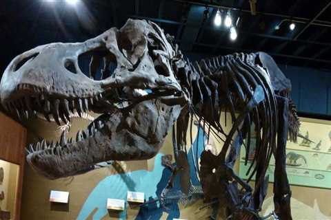 A Journey Through Time: The Rich History of Exhibits in Northeast Ohio