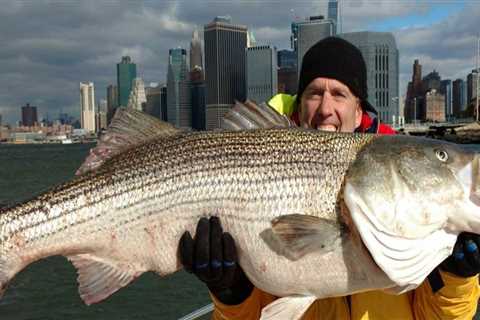 New City, New Waters: Charter Fishing After Relocating