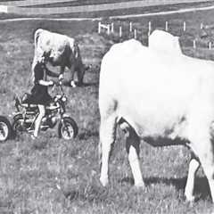 Exploring Common Livestock Raised by Farmers in Waxhaw, North Carolina