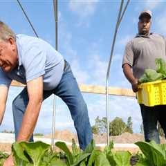 Understanding the Challenges Faced by Farmers in Waxhaw, North Carolina