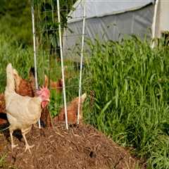 The Rewards of Farming in Waxhaw, North Carolina: A Deep Dive into Local Agriculture