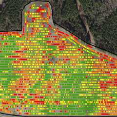 Understanding the Average Size of Farms in Waxhaw, North Carolina: Insights for Farmers