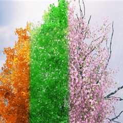 Understanding Tree Trimming and Pruning: Timeframes and Techniques