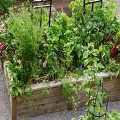 Utilizing Raised Beds for Sustainable Gardening Practices