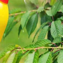 Harnessing Natural Pest Control for a Thriving Sustainable Garden