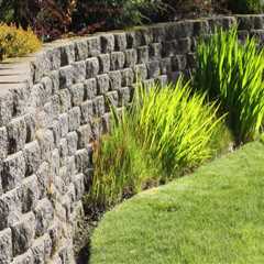 Effective Energy Conservation Methods for a Sustainable Garden