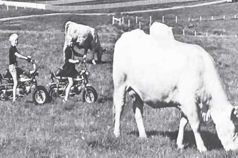 Exploring Common Livestock Raised by Farmers in Waxhaw, North Carolina
