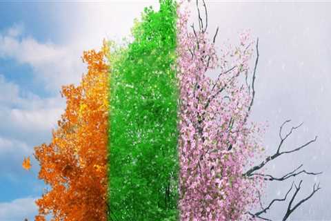 Understanding Tree Trimming and Pruning: Timeframes and Techniques