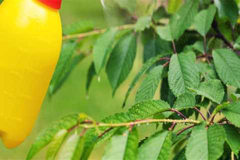 Harnessing Natural Pest Control for a Thriving Sustainable Garden