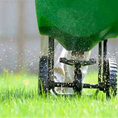 Exploring the Various Types of Lawn Fertilizers for Optimal Lawn Care