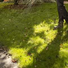 Understanding Lawn Fertilization: The Importance of Watering After Application