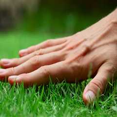 Natural Methods to Enhance Soil Fertility for Lush Lawns