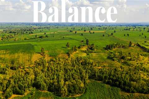 The Essential Role of Tree Management in Sustainable Land Management