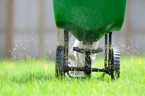 Exploring the Various Types of Lawn Fertilizers for Optimal Lawn Care