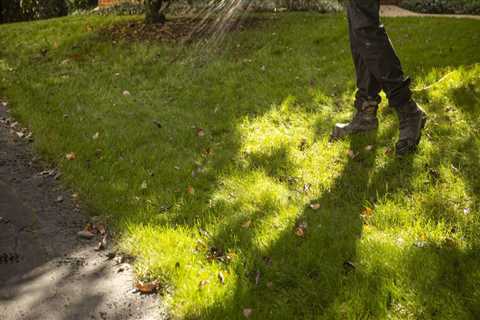 Understanding Lawn Fertilization: The Importance of Watering After Application
