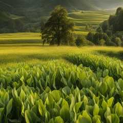 Harnessing Crop Rotation for Pest Control and Soil Fertility Enhancement