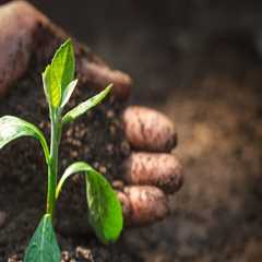 The Essential Role of Crop Residues in Enhancing Soil Fertility