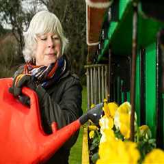 Top Garden Maintenance Mistakes and How to Avoid Them