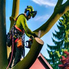 Understanding the Risks of Ignoring Damaged Tree Branches