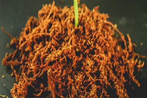 Understanding the Impact of pH Levels on Soil Fertility Improvement