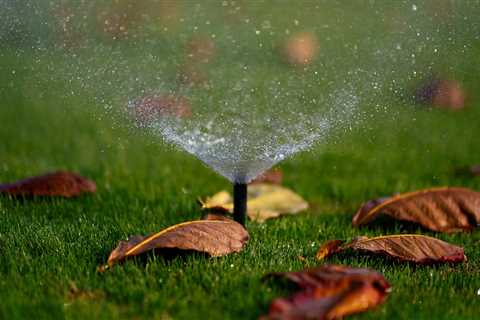 Sustainable Garden Practices with Efficient Irrigation