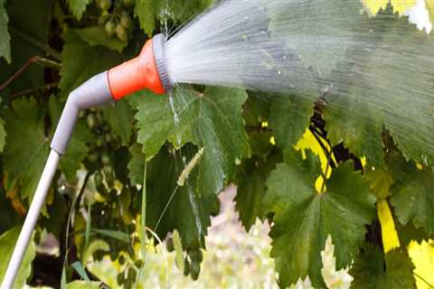 Enhancing Garden Maintenance Through Effective Watering Techniques